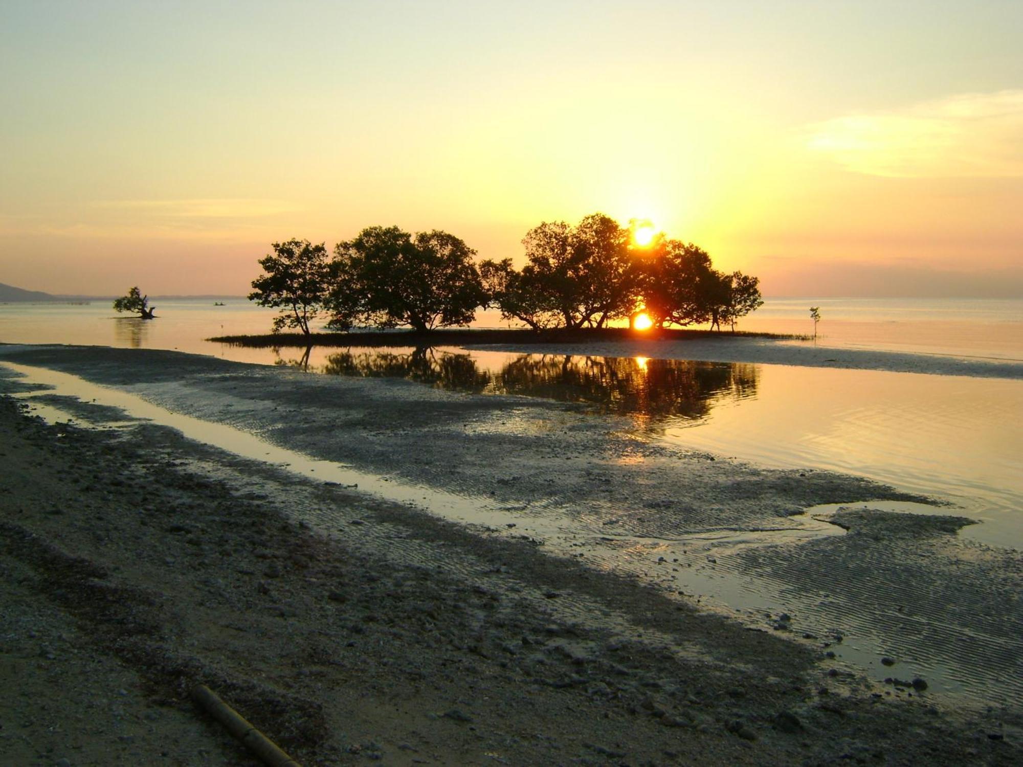 Casa De La Playa Beach Resort Siquijor Bagian luar foto